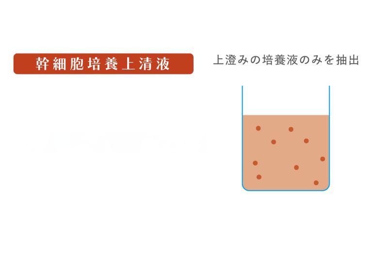 テキストテキスト