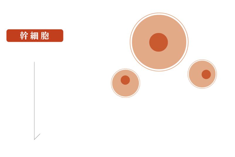 テキストテキスト