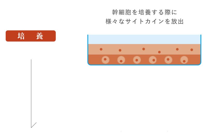 テキストテキスト