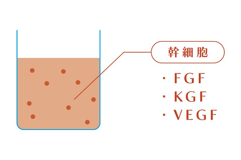 テキストテキスト
