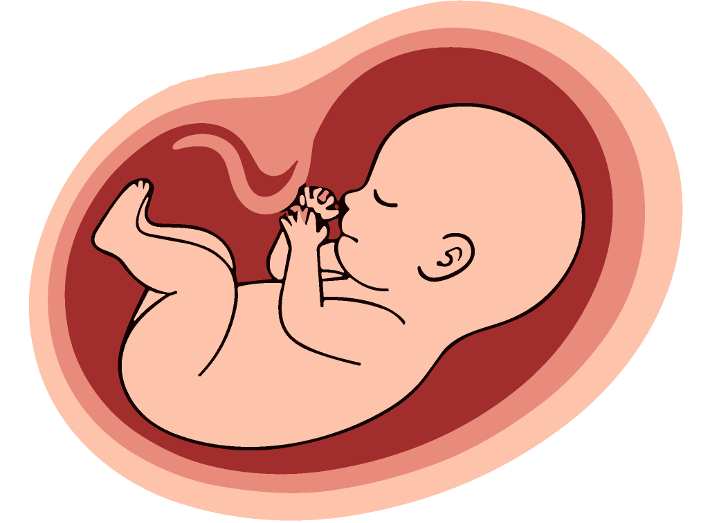 なーれクリニック幹細胞リリース