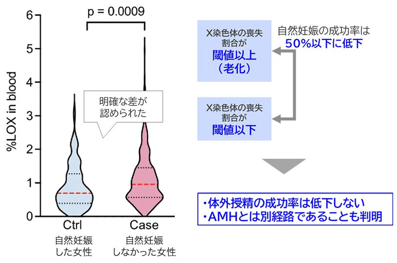 AMH検査との違い
